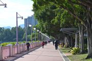  Tai Po Waterfront Park